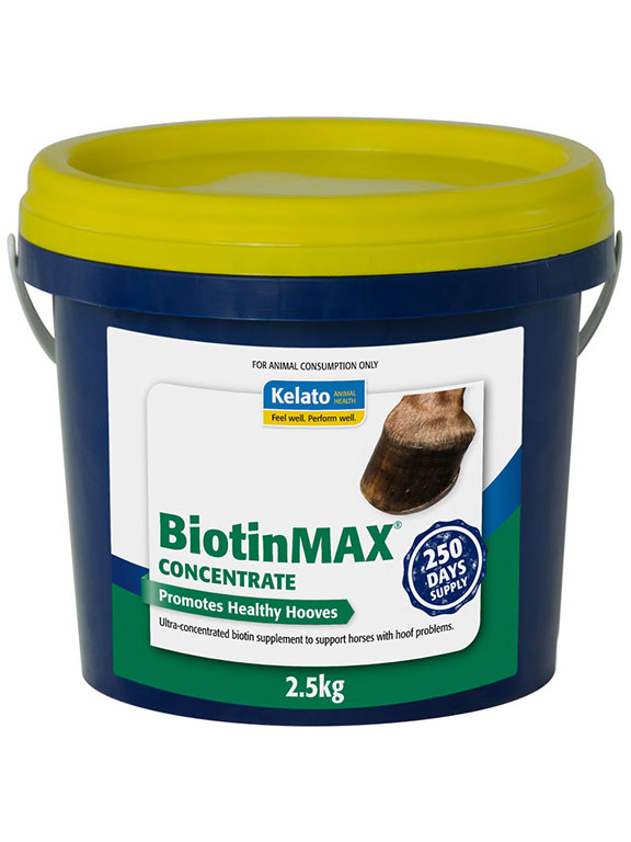 BiotinMAX Concentrate