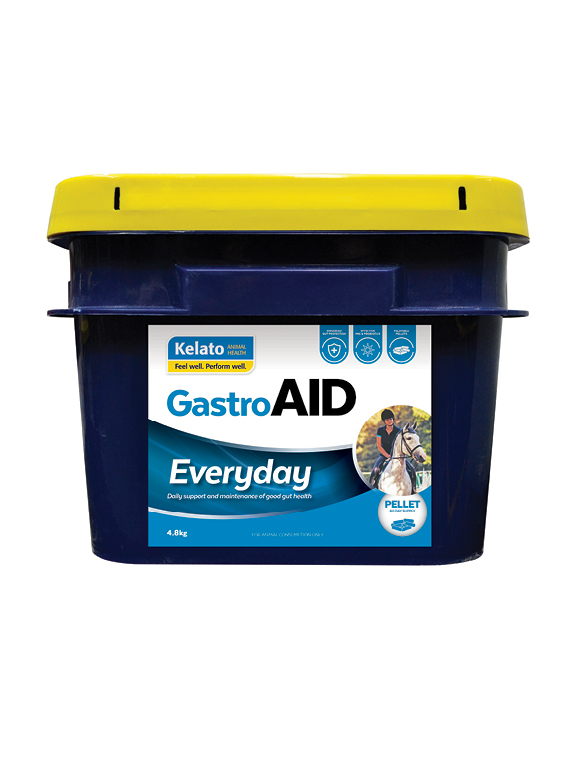 GastroAID Everyday